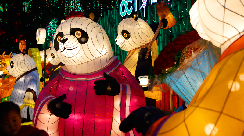 自贡灯会精品彩灯