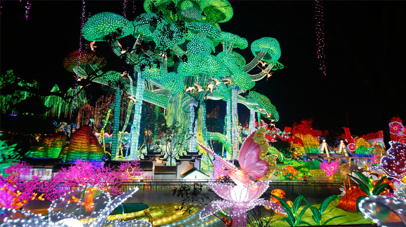 培养彩灯人才 四川理工彩灯学院今年9月力争开门办学