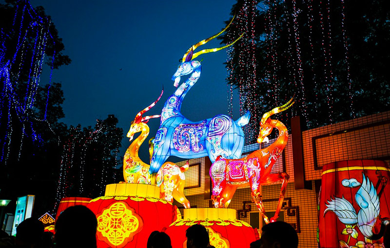 自贡彩灯艺术,自贡彩灯,