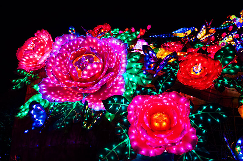 自贡彩灯艺术,自贡彩灯,