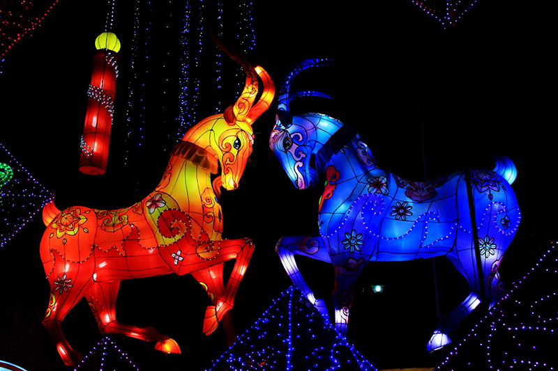 淄博花灯,花灯,