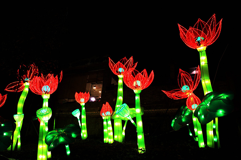 淄博花灯,花灯,