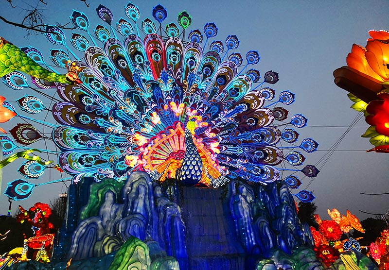 自贡灯会，彩灯艺术，