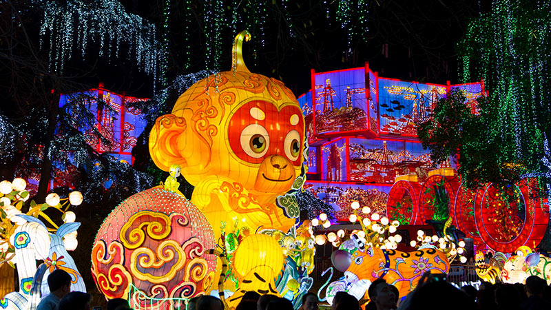 彩灯大世界,彩灯制作,彩灯,