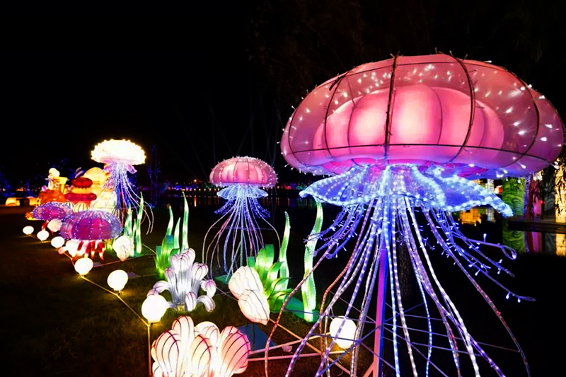 自贡彩灯,彩灯花灯,灯会,