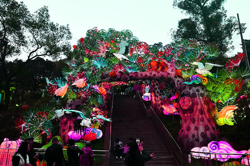 自贡灯会,自贡彩灯,