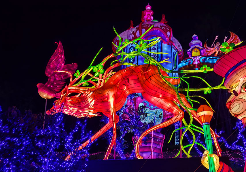 2020自贡灯会赏析——童话城堡(五)