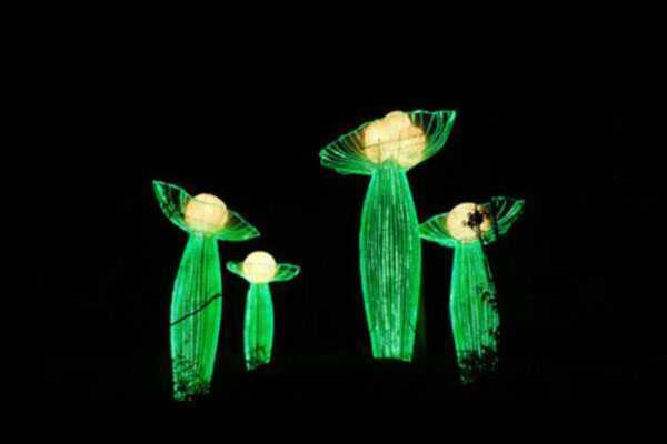 生态园梦幻灯光展