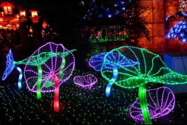 月湖公园彩灯灯光展